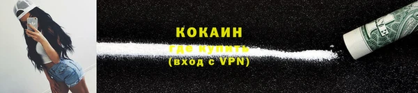 дживик Бронницы