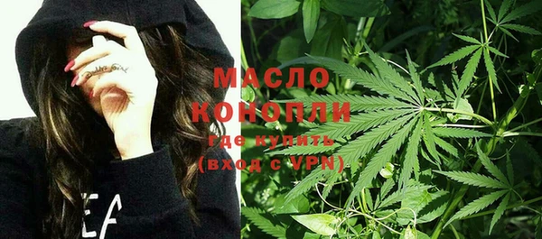 дживик Бронницы