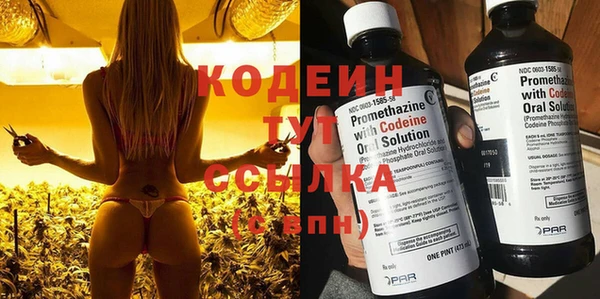 дживик Бронницы