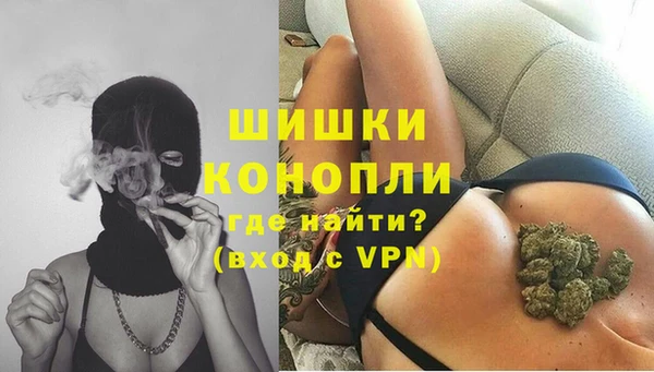дживик Бронницы