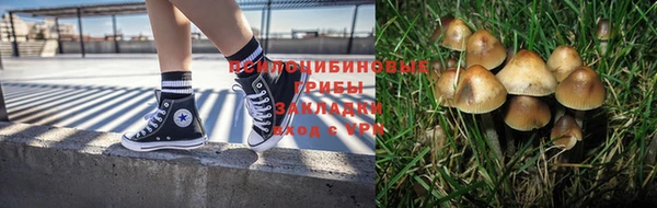 дживик Бронницы