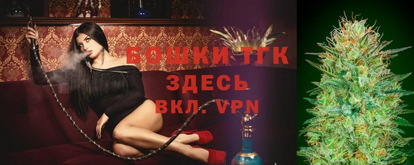 дживик Бронницы