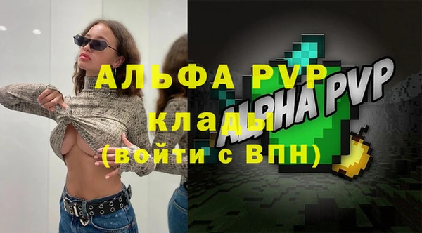 дживик Бронницы